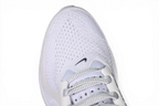 Nike Pegasus Premium White Metallic Silver