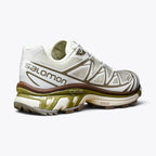 Salomon XT-6 Turtledove/Vintage Khaki/Kelp